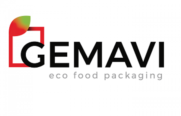 COMERCIAL GEMAVI IMPORT