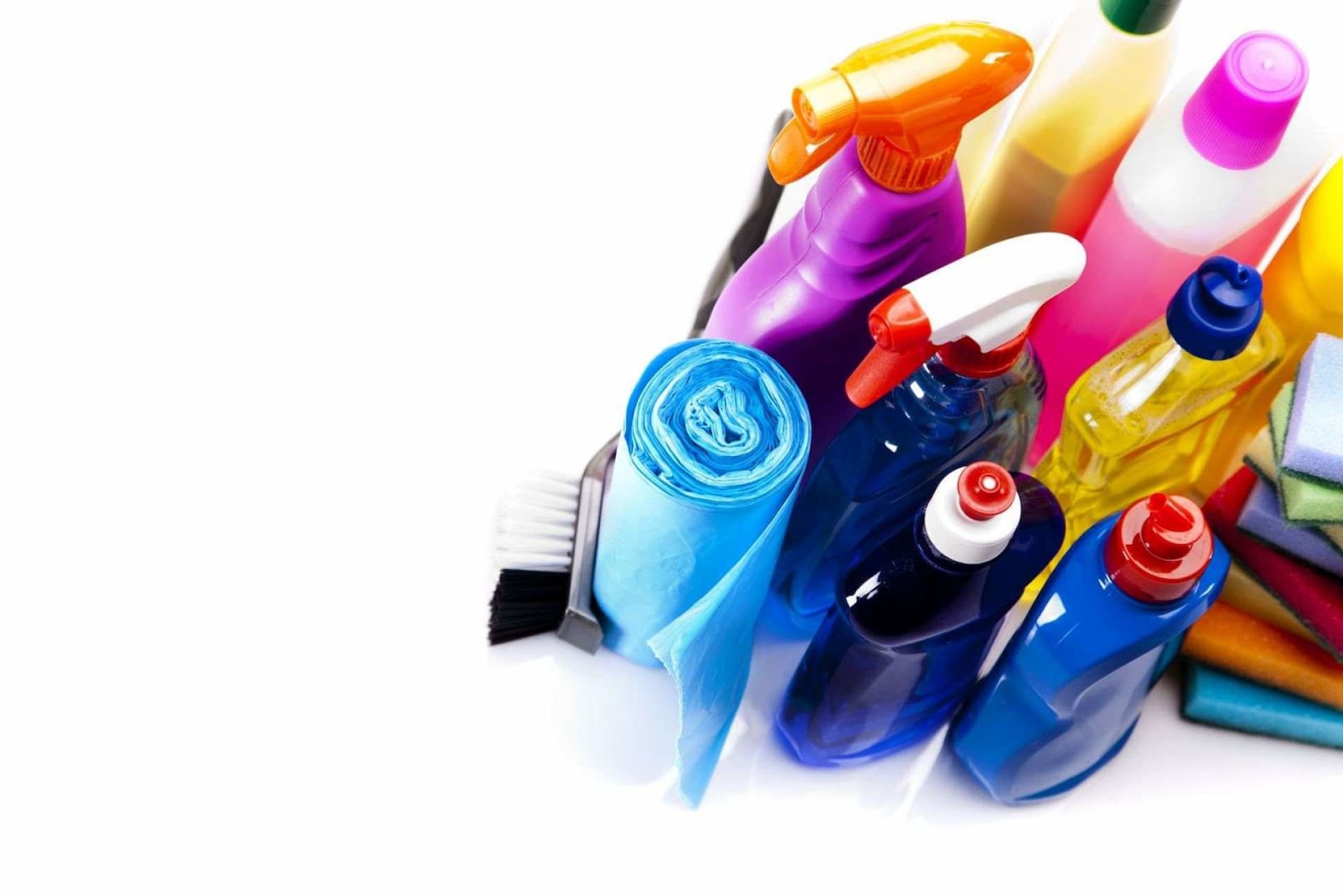 Cat&aacute;logos
